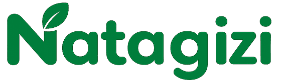 NataGizi